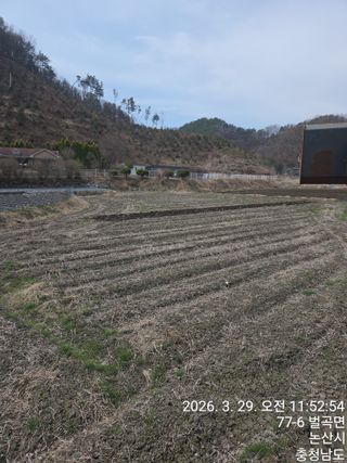 두릅나무9056님의 기타작물 · 영농일지 작성글 사진