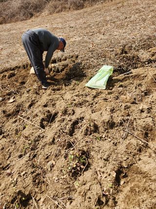 윤미선(농경채인증님의 기타작물 · 영농일지 작성글 사진