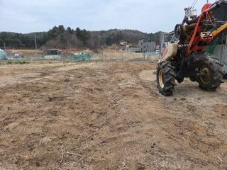 김윤회님의 파 · 영농일지 작성글 사진