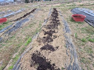 상숙님의 기타작물 · 영농일지 작성글 사진