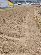 팜모닝 기타작물·영농일지 게시글 이미지