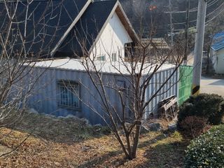 박용덕님의 감 · 영농일지 작성글 사진