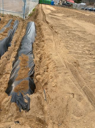 농린이님의 기타작물 · 영농일지 작성글 사진