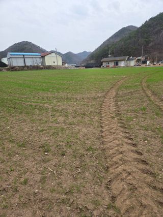 두릅나무9056님의 기타작물 · 영농일지 작성글 사진