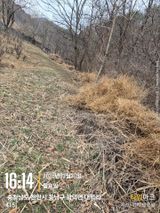 매실21434님의 작성글 사진