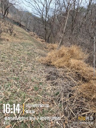 매실21434님의 기타작물 · 영농일지 작성글 사진