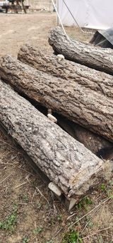 팜모닝 기타작물·영농일지 게시글 이미지