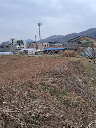 구강회님의 기타작물 · 영농일지 작성글 사진