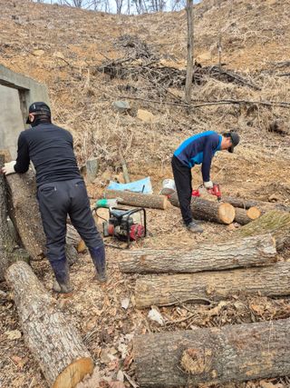엉뚱님의 기타작물 · 영농일지 작성글 사진