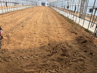 농린이님의 기타작물 · 영농일지 작성글 사진