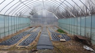 송완춘님의 기타작물 · 영농일지 작성글 사진