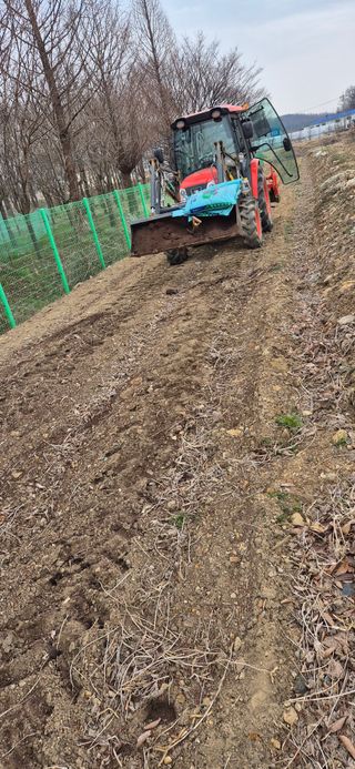 골드래곤님의 콩 · 영농일지 작성글 사진