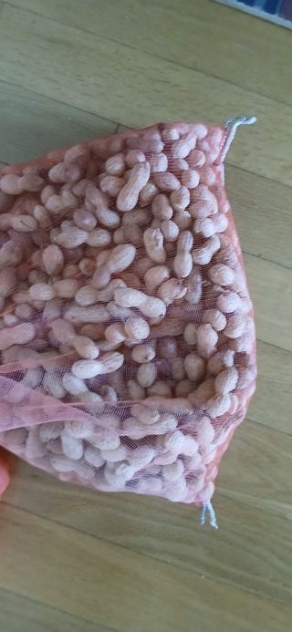 정연섭님의 기타작물 · 영농일지 작성글 사진