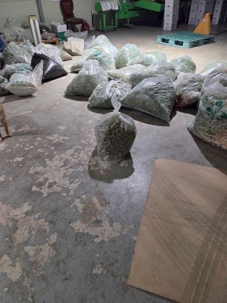 쌍둥이농장님의 기타작물 · 영농일지 작성글 사진