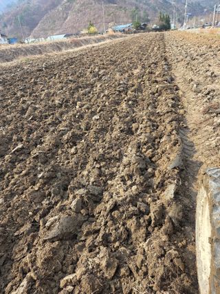 두릅나무9056님의 기타작물 · 영농일지 작성글 사진