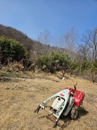 봉좌산님의 기타작물 · 영농일지 작성글 사진