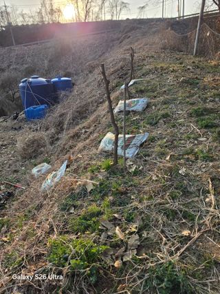 김종협님의 기타작물 · 영농일지 작성글 사진