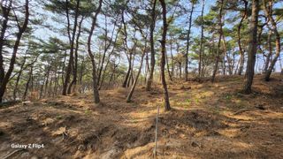 김동식님의 작성글 사진