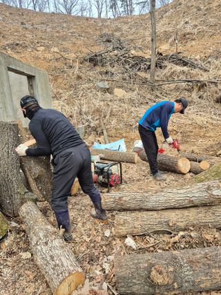 엉뚱님의 기타작물 · 영농일지 작성글 사진