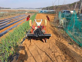 조선된장님의 감자 · 영농일지 작성글 사진