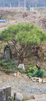 팜모닝 기타작물·영농일지 게시글 이미지