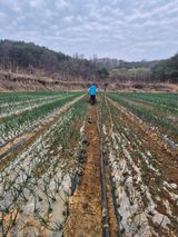 젠틀맨님의 작성글 사진