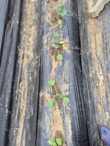 이경옥님의 작성글 사진