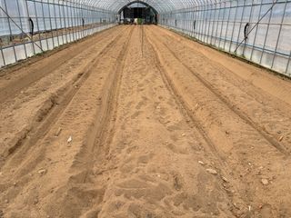 농린이님의 기타작물 · 영농일지 작성글 사진