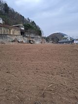 팜모닝 기타작물·영농일지 게시글 이미지