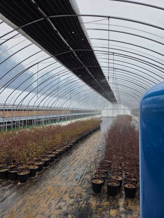 조민서님의 기타작물 · 영농일지 작성글 사진