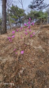 김동식님의 작성글 사진