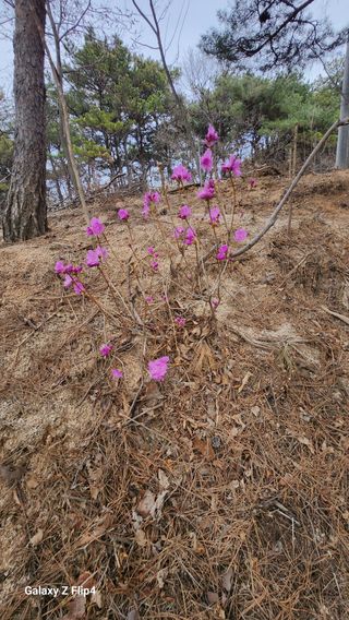 김동식님의 기타작물 · 영농일지 작성글 사진