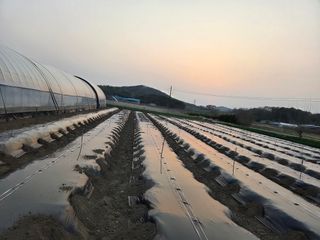 성실한 농부님의 기타작물 · 영농일지 작성글 사진