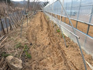 농린이님의 기타작물 · 영농일지 작성글 사진