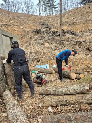 엉뚱님의 기타작물 · 영농일지 작성글 사진