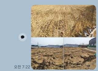 참깨10143님의 기타작물 · 영농일지 작성글 사진