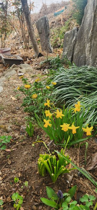 김순섭님의 기타작물 · 영농일지 작성글 사진