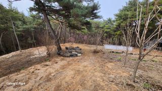 김동식님의 기타작물 · 영농일지 작성글 사진