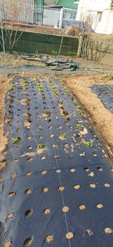 남궁봉님의 작성글 사진