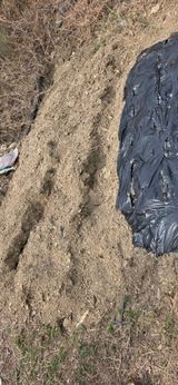 경주농장님의 작성글 사진