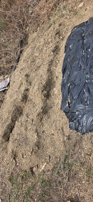 경주농장님의 기타작물 · 영농일지 작성글 사진