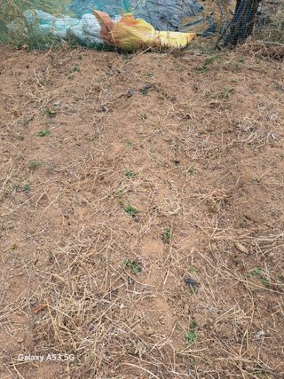 조연만님의 작성글 사진