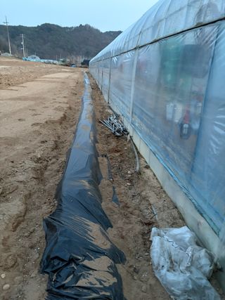 농린이님의 기타작물 · 영농일지 작성글 사진