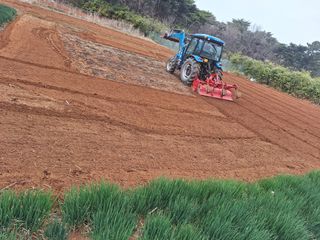 김용환님의 기타작물 · 영농일지 작성글 사진