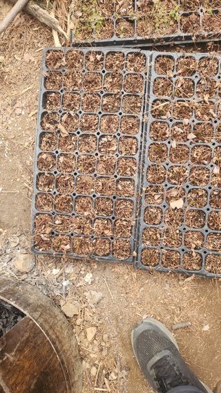 귀산촌님의 기타작물 · 영농일지 작성글 사진