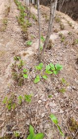 김동식님의 작성글 사진