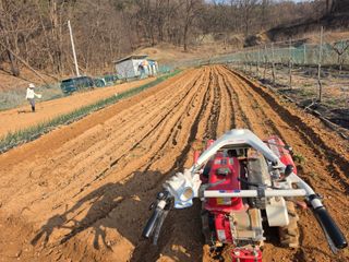 조선된장님의 감자 · 영농일지 작성글 사진