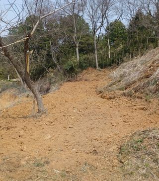 열남님의 기타작물 · 영농일지 작성글 사진