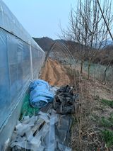 팜모닝 기타작물·영농일지 게시글 이미지