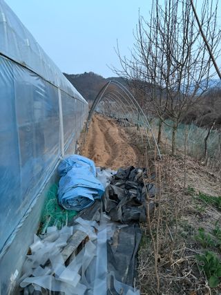 농린이님의 기타작물 · 영농일지 작성글 사진